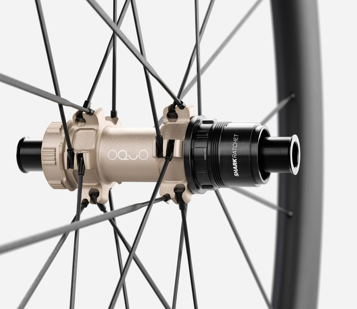 O1910093