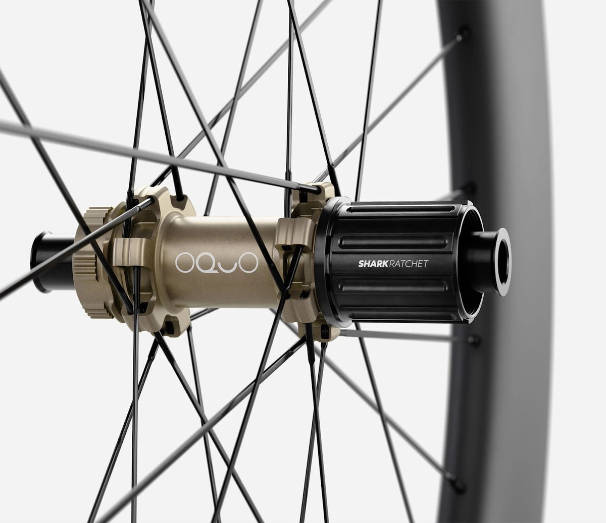 O1850075