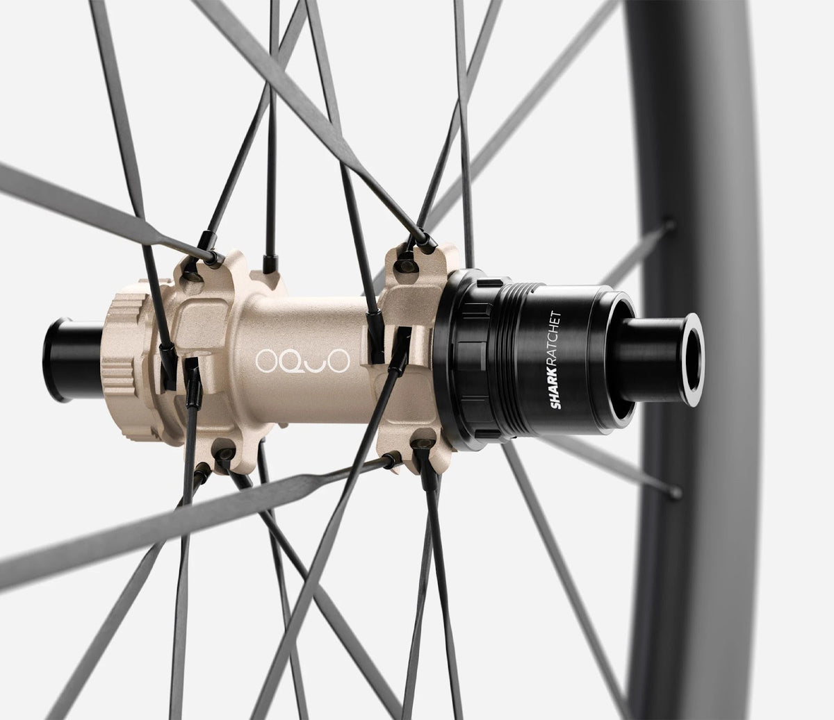 O1930028